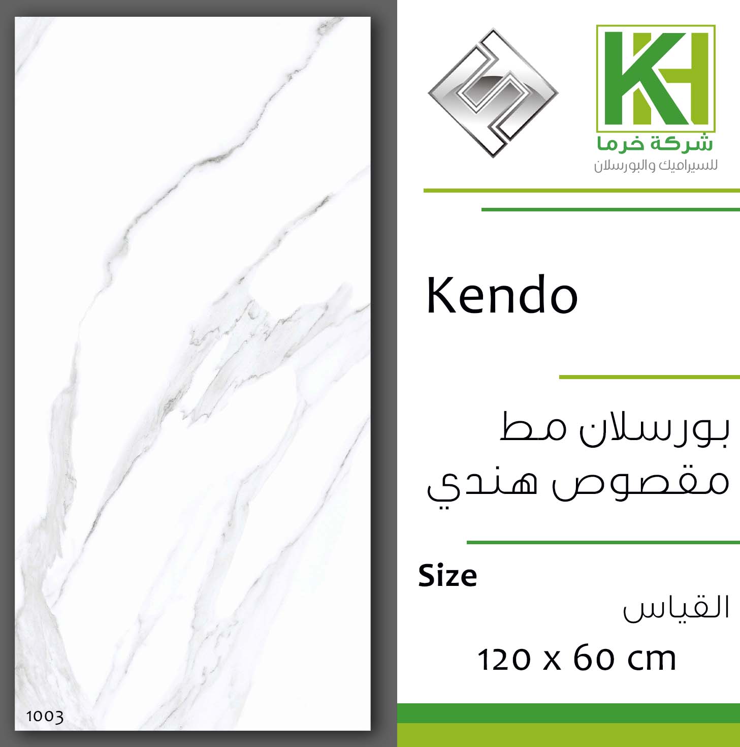 Picture of Indian Matt Porcelain tile 60x120cm Kendo